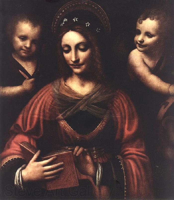 LUINI, Bernardino Saint Catherine a Spain oil painting art